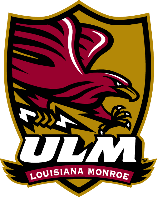 Louisiana-Monroe Warhawks 2006-Pres Alternate Logo v3 diy fabric transfer